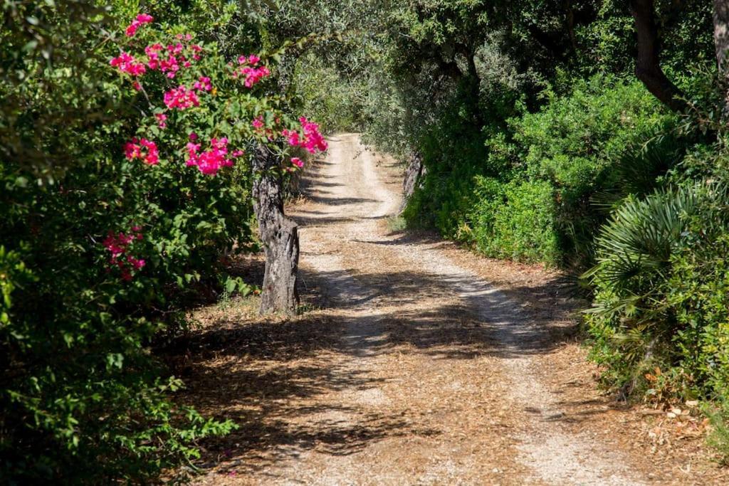 Villa Tramonto Alghero Dış mekan fotoğraf