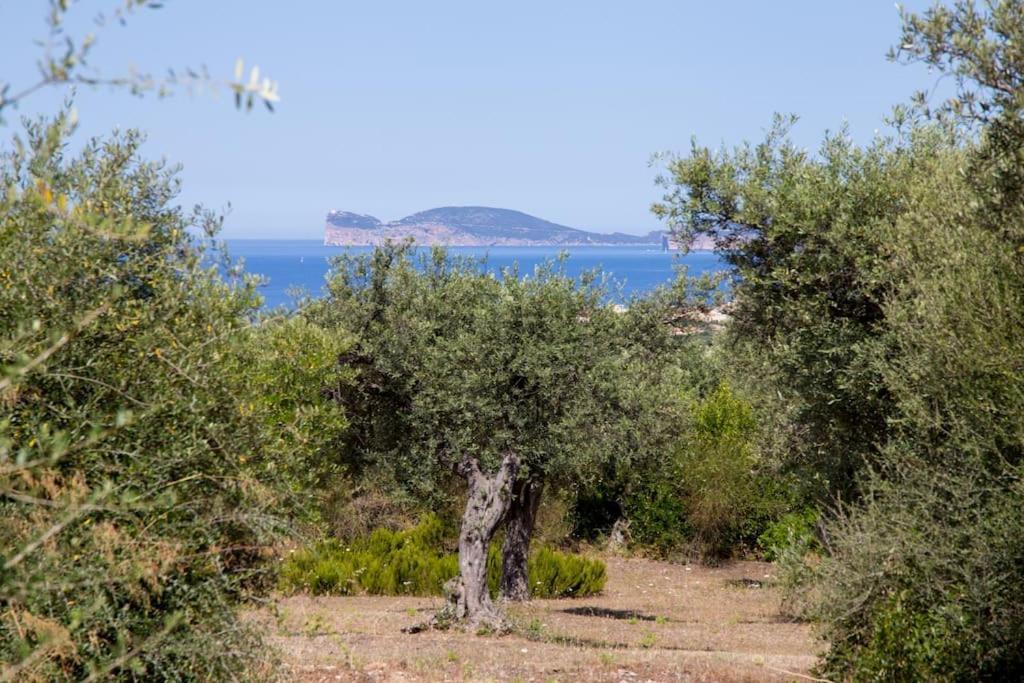 Villa Tramonto Alghero Dış mekan fotoğraf