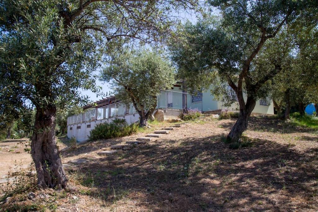 Villa Tramonto Alghero Dış mekan fotoğraf