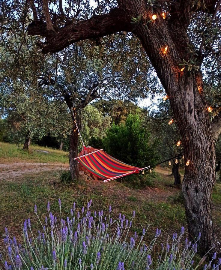 Villa Tramonto Alghero Dış mekan fotoğraf